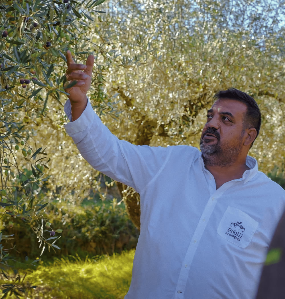 David Taus in his olive grove in the Maestrat