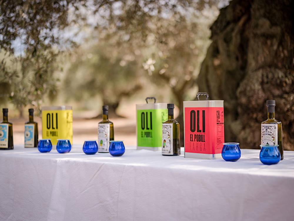 Professional tasting among the olive trees
