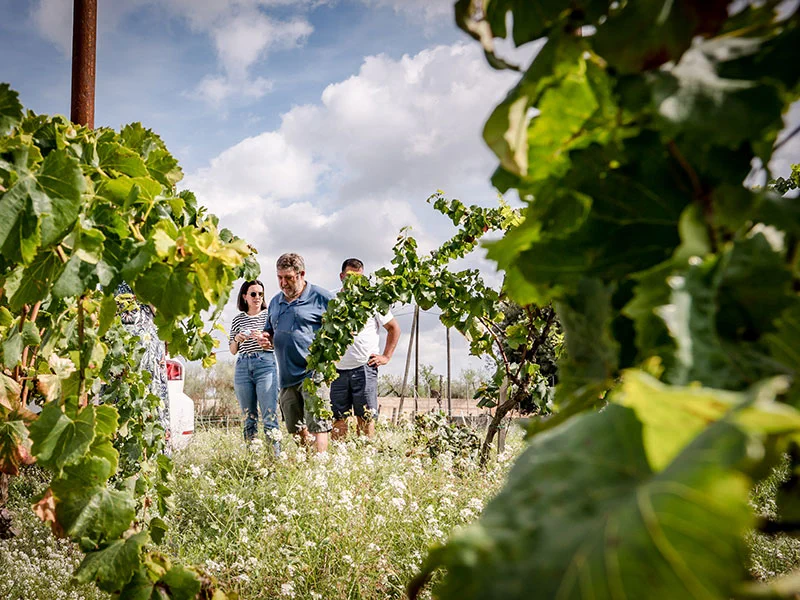 Visita al celler de vi El Vinyet de Sant Jordi · foto 2