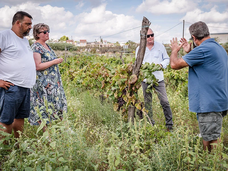 Visita al celler de vi El Vinyet de Sant Jordi · foto 3