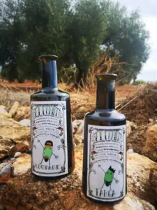 OOVE Coupage Vidre entre les oliveres del Maestrat